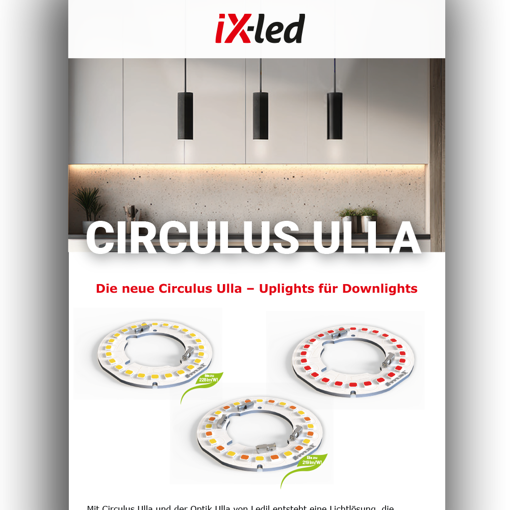 Newsletter Vorschau: Die neue Circulus Ulla - Februar 2026