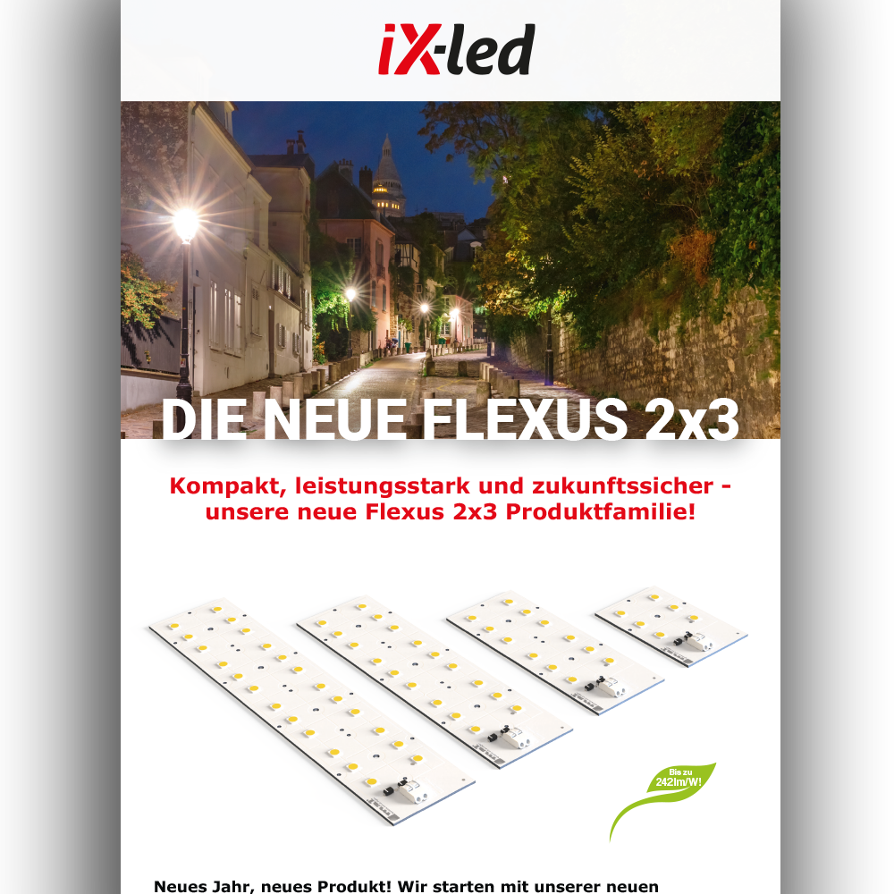 Newsletter Vorschau: Die neue Flexus 2x3 Januar 2026